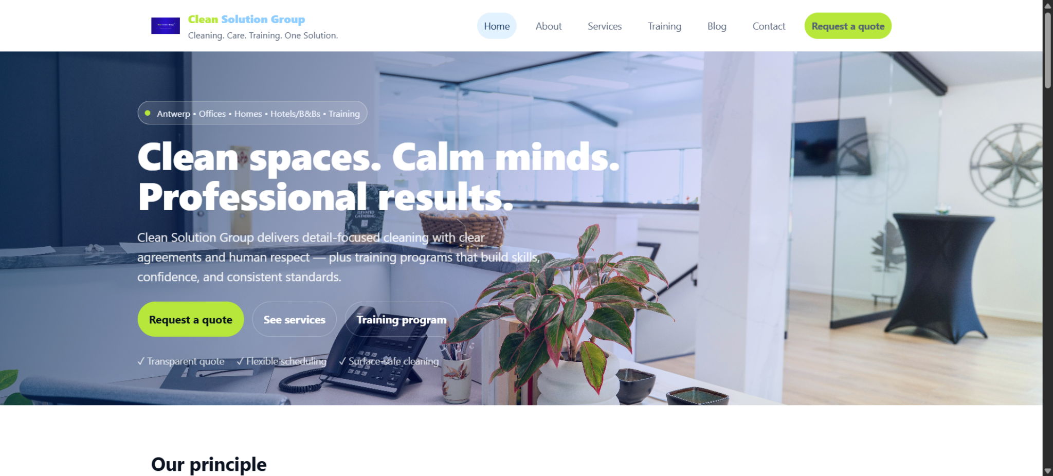 CleanSG website preview